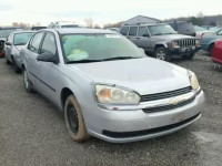 2005 CHEVROLET MALIBU 1G1ZS52F15F101612