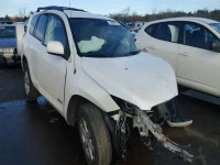 2007 TOYOTA RAV4 LTD JTMBD31V675095167