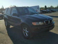 2002 Bmw X5 3.0i 5UXFA53552LV73438