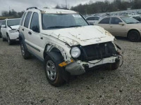 2005 JEEP LIBERTY SP 1J4GL48K65W555813