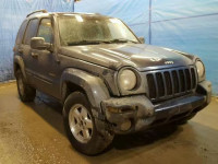 2004 JEEP LIBERTY LI 1J4GL58KX4W146136