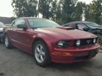 2007 FORD MUSTANG GT 1ZVFT85H575207900