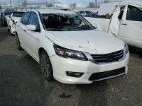 2015 HONDA ACCORD SPO 1HGCR2F59FA250682