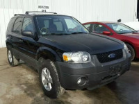 2007 FORD ESCAPE XLT 1FMCU03Z47KA49210