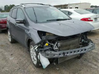 2013 FORD ESCAPE TIT 1FMCU0J94DUC31184