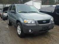 2007 FORD ESCAPE XLT 1FMYU03107KB68176