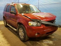 2005 FORD ESCAPE LIM 1FMCU94155KE09224