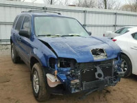 2007 FORD ESCAPE XLS 1FMYU02Z27KC08328