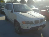 2001 BMW X5 4.4I WBAFB33531LH25489