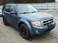 2011 FORD ESCAPE XLT 1FMCU9D74BKB08038