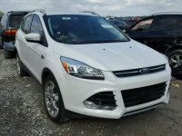 2015 FORD ESCAPE TIT 1FMCU0J97FUA07622