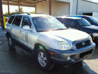 2004 HYUNDAI SANTA FE G KM8SC13DX4U758426