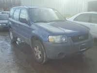 2007 FORD ESCAPE XLS 1FMYU02Z57KB35522