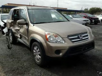 2006 HONDA CR-V SE JHLRD78976C050167