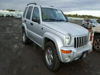 2004 JEEP LIBERTY LI 1J8GK58K54W273653