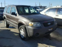 2007 FORD ESCAPE XLS 1FMYU02Z27KA03141