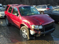 2006 FORD ESCAPE LIM 1FMYU941X6KD54261