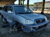 2002 HYUNDAI SANTA FE G KM8SC13D62U189572