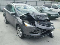 2013 FORD ESCAPE TIT 1FMCU0J93DUD49016