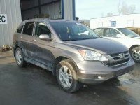 2010 HONDA CR-V EX-L 5J6RE4H74AL034003