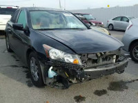 2011 HONDA ACCORD SE 1HGCP2F64BA151776