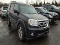 2009 HONDA PILOT EXL 5FNYF48549B017505