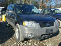 2007 FORD ESCAPE XLT 1FMYU93177KB28438