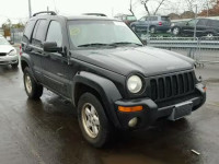 2002 JEEP LIBERTY LI 1J8GL58KX2W280687