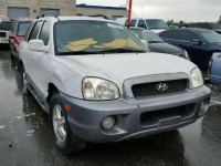 2004 HYUNDAI SANTA FE G KM8SC13DX4U784573