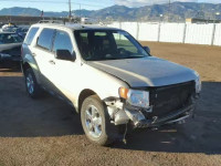 2011 FORD ESCAPE XLT 1FMCU9DG4BKB13823
