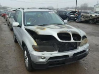 2005 BMW X5 3.0I 5UXFA13565LY17725