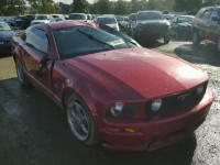 2005 FORD MUSTANG GT 1ZVFT82H955128358