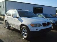 2002 BMW X5 3.0I 5UXFA53532LP52996