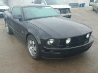 2006 FORD MUSTANG GT 1ZVFT82H565263161