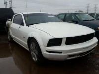 2006 FORD MUSTANG GT 1ZVHT82H165241277