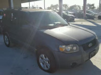 2005 FORD ESCAPE XLT 1FMYU03135KD64402