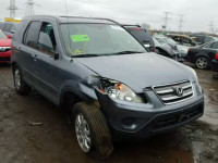 2006 HONDA CR-V SE JHLRD78906C016135