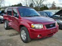 2006 FORD ESCAPE LIM 1FMYU041X6KD17349