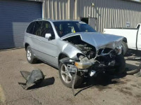 2002 BMW X5 3.0I 5UXFA53512LP54200