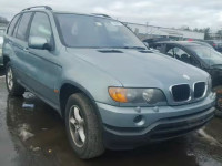 2002 BMW X5 3.0I 5UXFA53532LP48821