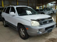 2004 HYUNDAI SANTA FE G KM8SC13EX4U706996