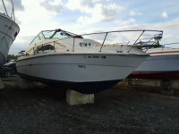 1979 SEAR BOAT ONLY SER19M430479