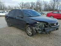 2006 CHEVROLET MALIBU LS 1G1ZS51F26F152099