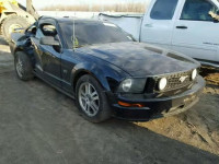 2005 FORD MUSTANG GT 1ZVFT82H855171914