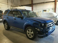 2012 FORD ESCAPE XLT 1FMCU0DG0CKC81648