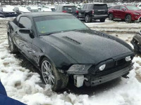 2014 FORD MUSTANG GT 1ZVBP8CF2E5274360