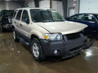 2007 FORD ESCAPE XLT 1FMYU93137KB28775