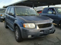 2003 FORD ESCAPE XLT 1FMCU93163KE16598