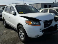 2009 HYUNDAI SANTA FE S 5NMSH13E99H242037