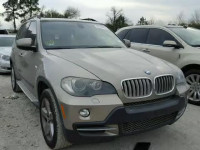 2009 BMW X5 XDRIVE3 5UXFF03559LJ95099